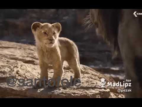 Rei leão santo fole