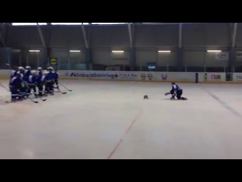 TRIGLAV OLIMPIJA, DEBL LEGAUE 2015/16 CHAMPIONS