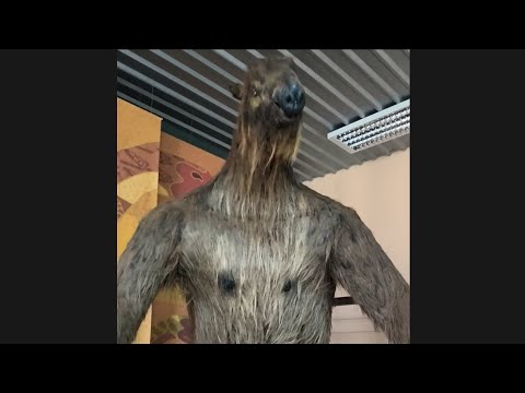 O MAIOR BICHO PREGUIÇA DO MUNDO, GEOPARQUE DE UBERABA -MINAS GERAIS