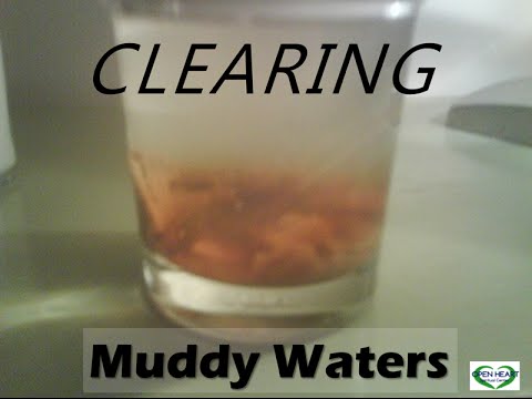 Open Heart Spiritual Center - Clearing Muddy Waters- Sunday Celebration -March 1 2015