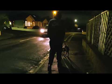 JACK JETSON X ILLINFORMED - QUINOLINE YELLOW