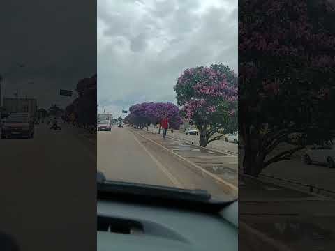 #chegada da cidade Maracás Bahia