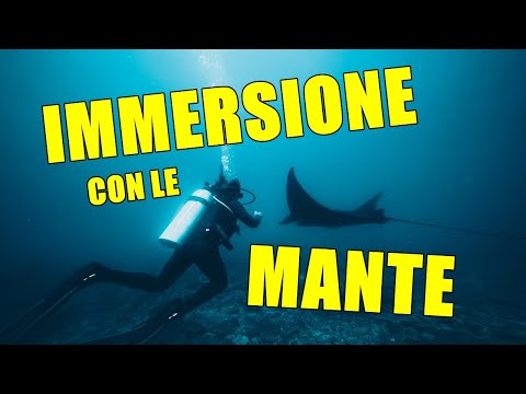 IMMERSIONE CON LE MANTE! VIAGGIO A LEMBONGAN, PT.1 - VLOG23