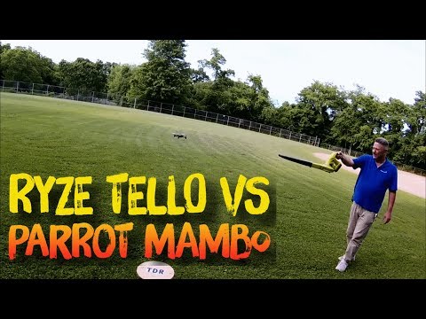 Ryze Tello vs Parrot Mambo Wind Test