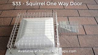 S33 - Squirrel One Way Exit Door | USA & CANADA