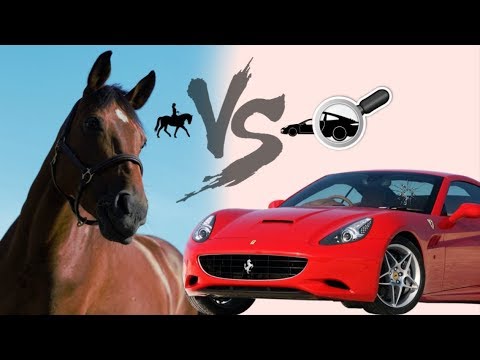 download lagu mp3 mp4 Voiture A Cheval, download lagu Voiture A Cheval gratis, unduh video klip Voiture A Cheval