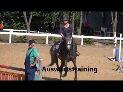 5 jähr. Schimmelstute v. Cordess / Jasper ,  1. Auswärtstraining , 15.6.19