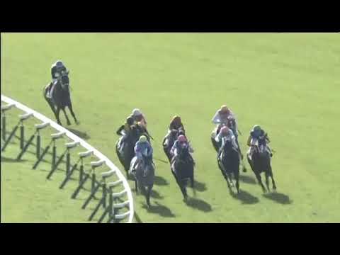 2018.11.18 2yo Newcomer (JPN) - Sugary Treats