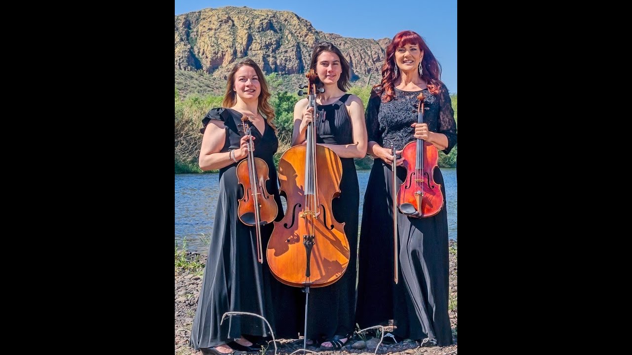 Promotional video thumbnail 3 for Blue Saguaro Strings