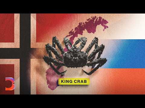 俄羅斯戰爭如何讓帝王蟹成為挪威的大生意 (How Russia's War Made King Crab Big Business in Norway)