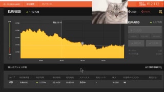 【FX】1万円から始める為替取引【BO】47