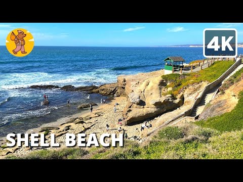 Shell Beach Walking Tour | La Jolla Cove, San Diego CA | {4k} 🔊 Binaural Sound