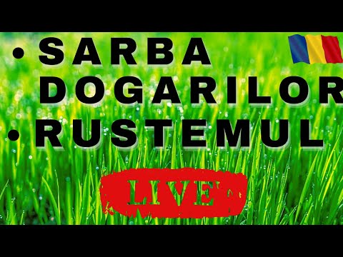 SARBA DOGARILOR/RUSTEMUL LIVE LA NUNTA Dansuri Populare Oltenesti