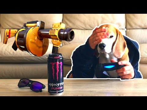 Dog Plays Fortnite Fails Bigtime! Funny Dog Louie The Beagle