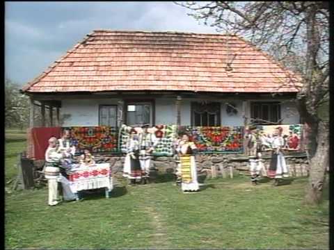 Livia Harpa - Sus paharu sus