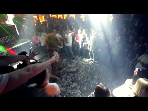 Gold! Road to WCD/Hypercat/Le Shuuk/Chaostrashteam Aftermovie