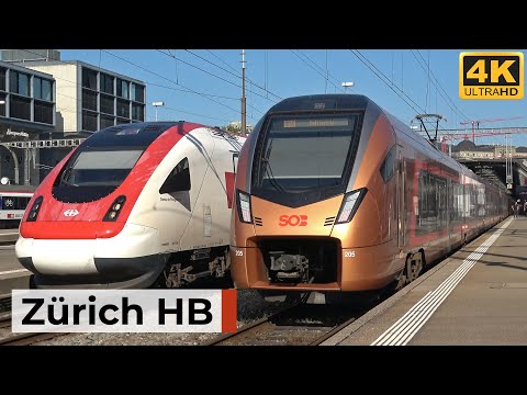 Zürich HB 20.06.2025 - ICE aus Hamburg & TGV nach Paris im internationalen Bahnverkehr