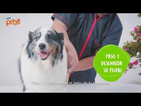 Video de Shampoo Petys de 235 ml para Perros y Gatos Limpieza y Suavidad