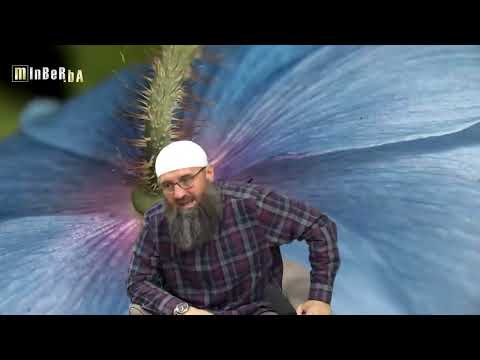 Da li je validan razvod braka do kojeg je došlo pod uticajem sihra? - Elvedin Pezić