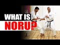 WHAT IS NORU? — AJ from The Digi Dojo