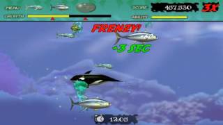 Feeding Frenzy 1 Time Attack Mode(Part 5-2 Final)
