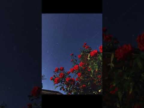 Arma Jackson ft Tayc Distance (slow+reverb)