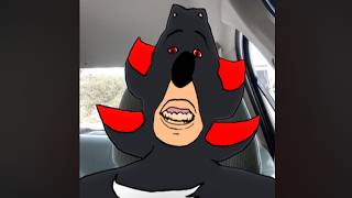 Thanks! from Shadow the hedgehog