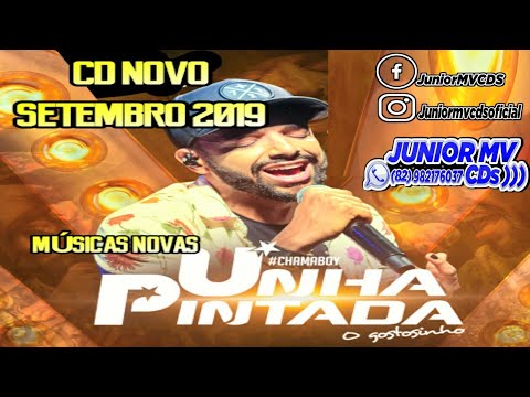 UNHA PINTADA CD SETEMBRO 2019 MÚSICAS NOVAS