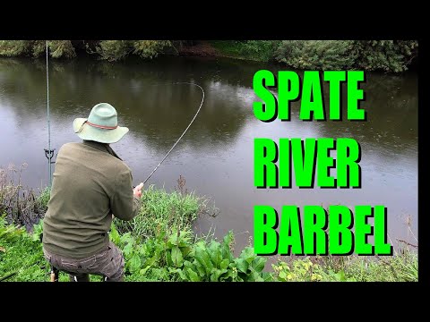 An Anglers Diary with A Moment in Time Channel - Chapter 121 - Barbel Fishing