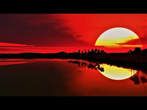 Therapy timmy trumpet