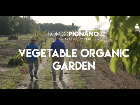 Vegetable Organic Garden in Tuscany, Italy | Borgo Pignano