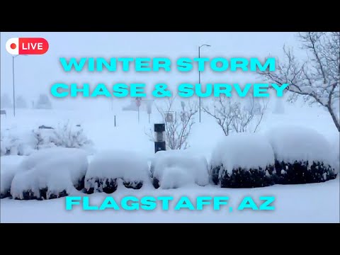 WINTER STORM COVERAGE - Flagstaff, AZ - Surveying SNOW on HWY 3 (1/15/2023 - As it Was)