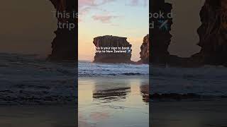 Your Sign to Book a Trip to New Zealand ✈️