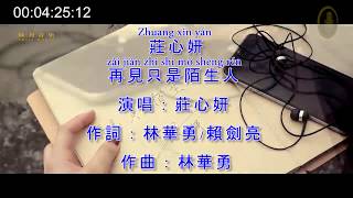 莊心妍 - 再見只是陌生人 / Zhuang Xin Yan - Zai Jian Zhi Shi Mo Sheng Ren KTV Pinyin