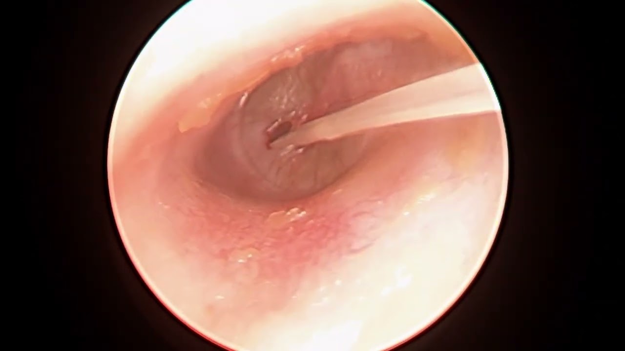 Natalia Camargo Vela-13