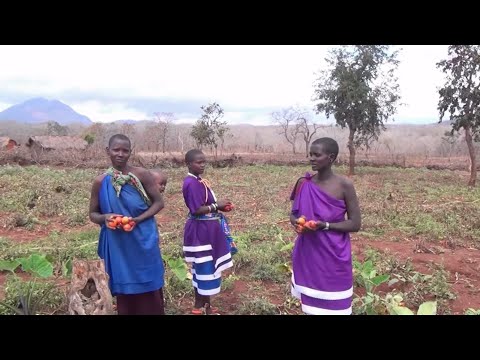 Watch Improving People’s Livelihoods with SolutionMUS: Livestock & Gardening on YouTube