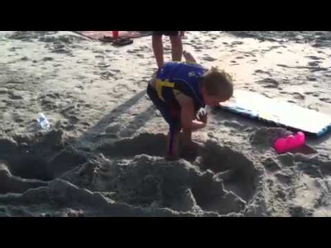 Gavin went to the beach