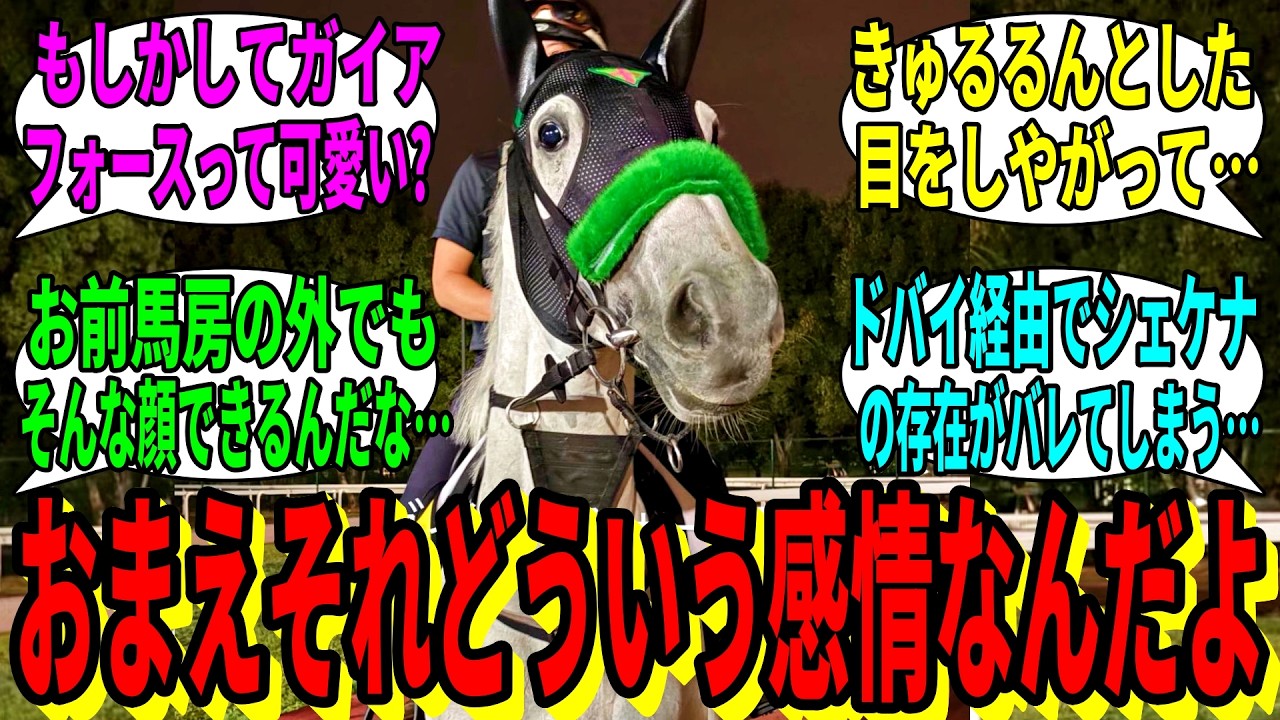 【競馬の反応集】「シェケナ、坂井の前で見たことない顔をする」に対する視聴者の反応集