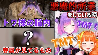 【#1MT】悪魔的所業をしていると思っていても結局TMTなトワ様【ホロライブ切り抜き】