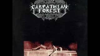 A Forest - Carpathian Forest (The Cure Cover)