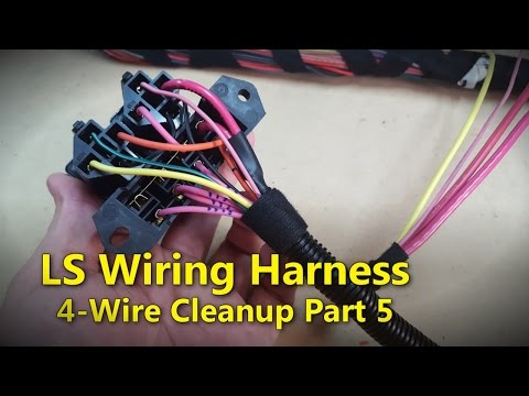 LS Wiring Harness Part 5 | Project Rowdy Ep017