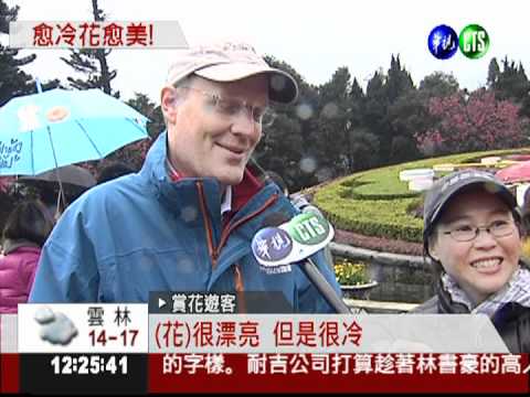 寒流冷颼颼! 淡水清晨9.7℃