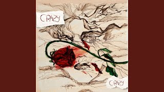 Crazy, Crazy