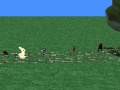 Turtle And Rabbit Race By Emily B
