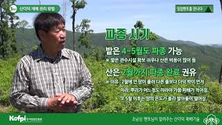 [산더덕3] 산더덕 재배 관리 방법