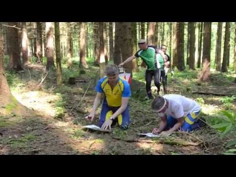 MEgional 2016 06 09 - Unsere Nachrichten für das Mittlere Erzgebirge