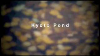 preview picture of video 'Kyoto Pond - Holland Park'