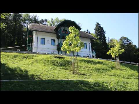 Озеро и замок Блед. Весь в лианах отель  Hotel Jadran - Sava Hotels & Resorts.