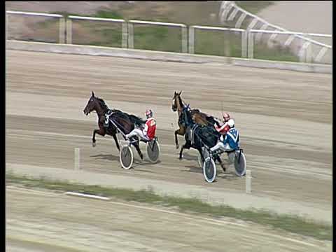 Trotto 02/04/2019 - prova di qualifica