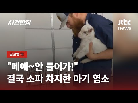 아이콘